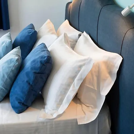 Πανσιόν Alpa 4*